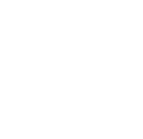 massdirectory logo white